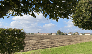 Paysage champs arbres Lissy